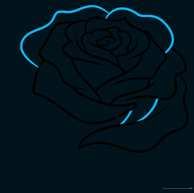 Pencil sketch showing additional curved lines filling out the rose bloom.