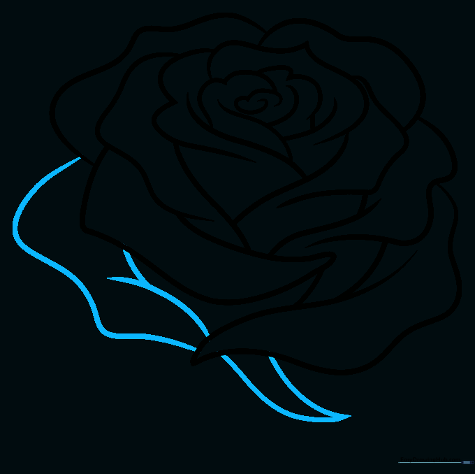 Pencil sketch showing the addition of sharp sepals at the base of the rose.