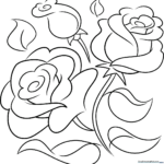 A vibrant, finished rose outline drawing, showcasing multiple blooms and leaves.