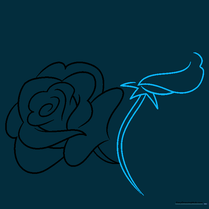 Sketching a second rosebud with a heart-shaped petal and sharp triangular sepals at the base.