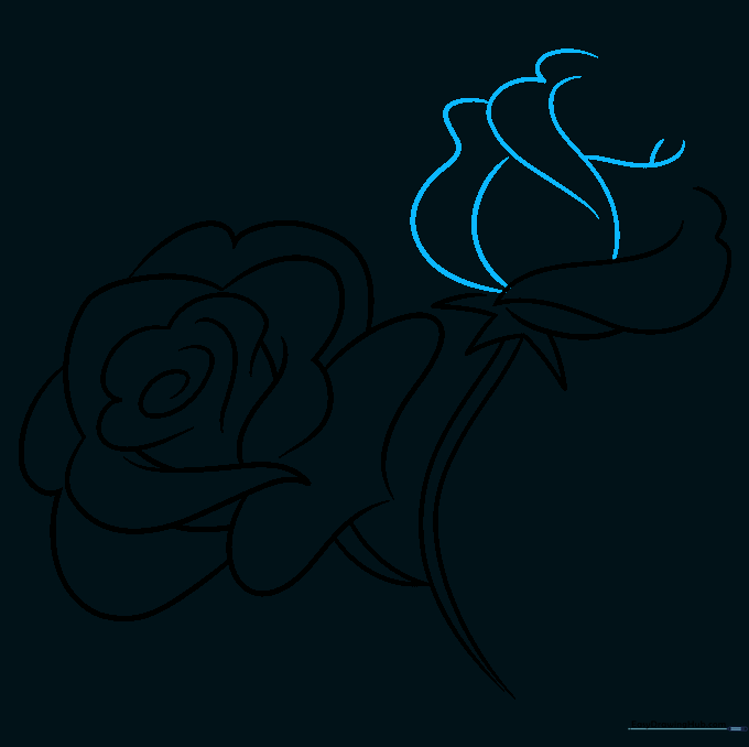Adding 'Y' shaped lines to the second rose to show petal overlapping and texture.