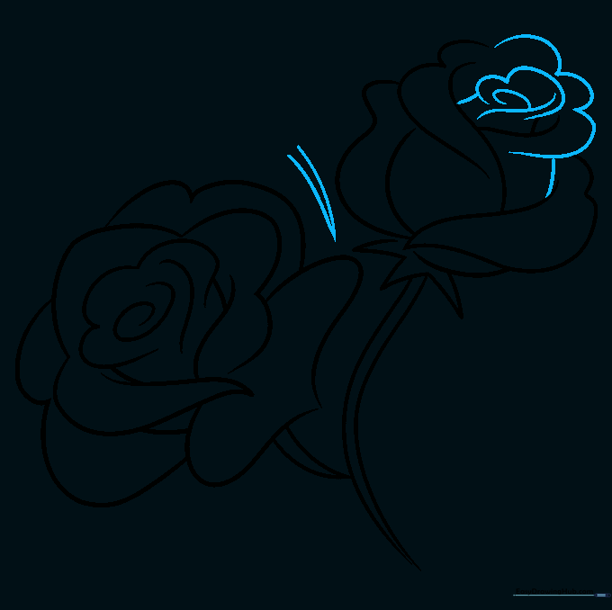 Adding a third flower with a central spiral and a V-shaped gap between the blooms.