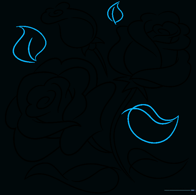 Finalizing the drawing by adding extra leaves and refining the outlines of the rose stems.