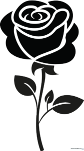 A finished, stylized rose tattoo drawing with bold lines and shading.