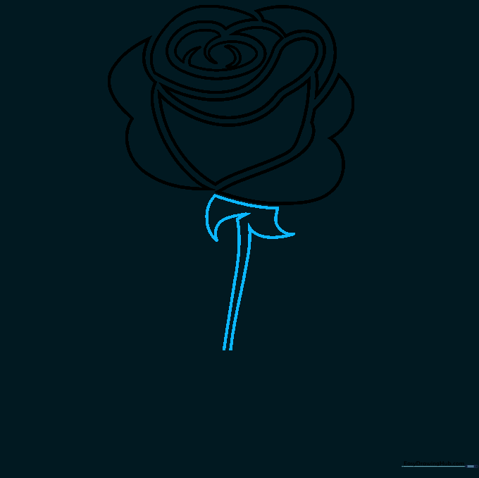 Drawing the stem and the small, triangular sepals at the base of the rose.