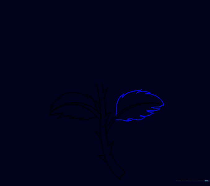 The outline of the second rose leaf completed.