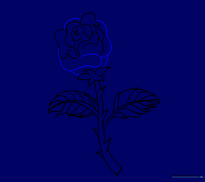The bloom is connected to the stem with curved lines.