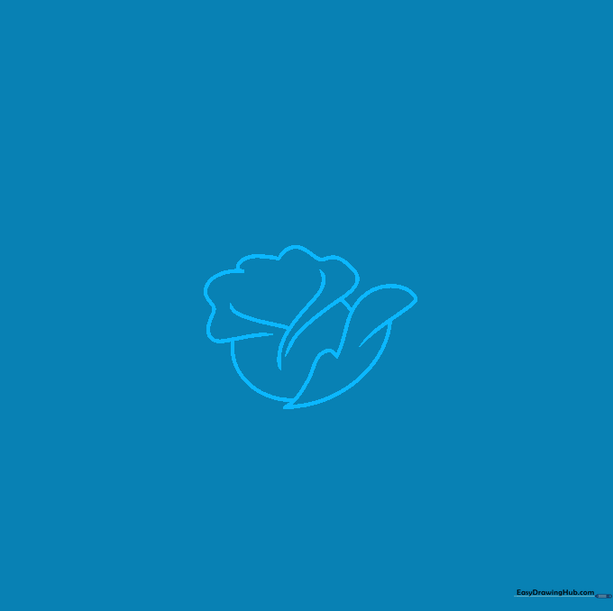 Pencil sketch of a rose center showing a Y-shaped line for petal overlap.