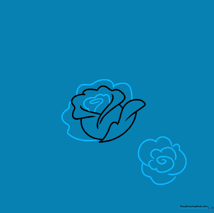 Drawing showing a rose center with a spiral and surrounding wavy petal lines.