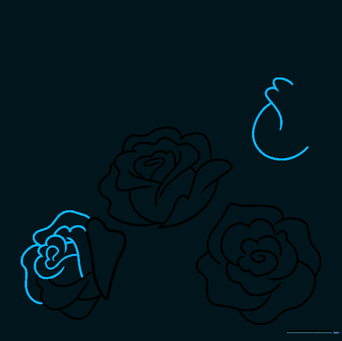 Sketching a rosebud using a U-shaped line and a central spiral.