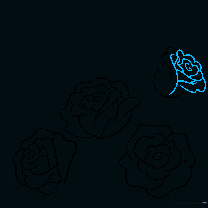 Detailing the rosebud with small overlapping curved lines.