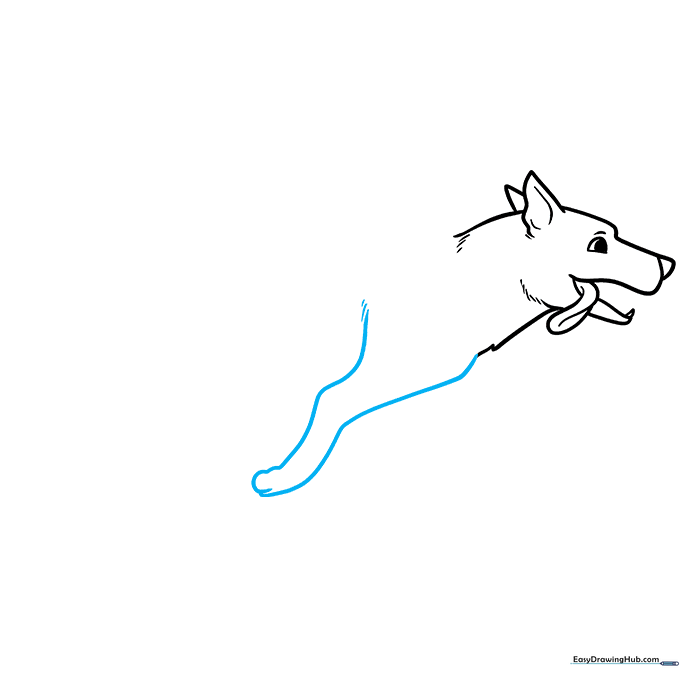 Drawing the first front leg of the running dog.