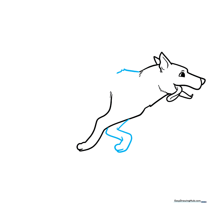 Drawing the second front leg in a bent, running position.
