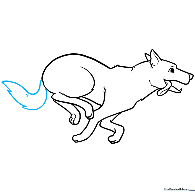 Drawing the dog's tail with fur texture.