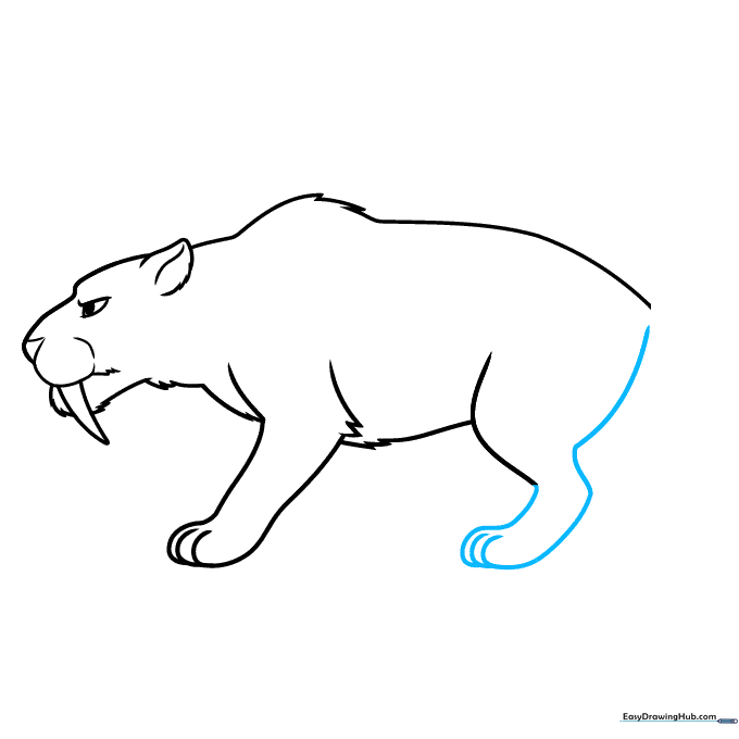 Detailing the rear leg and paw structure of the Smilodon