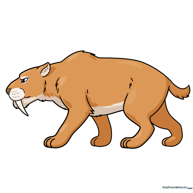 A fully colored and shaded cartoon Smilodon drawing