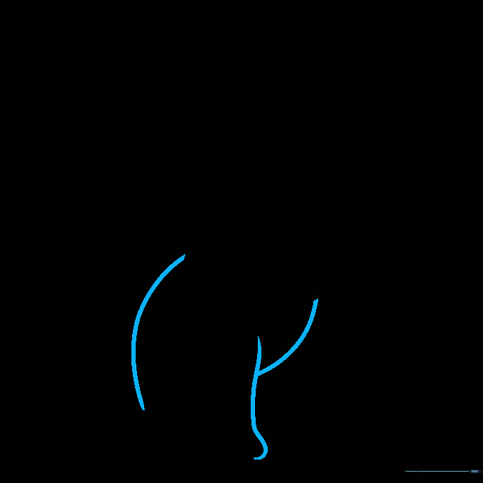 Sketching the main body curves and the start of the front leg.