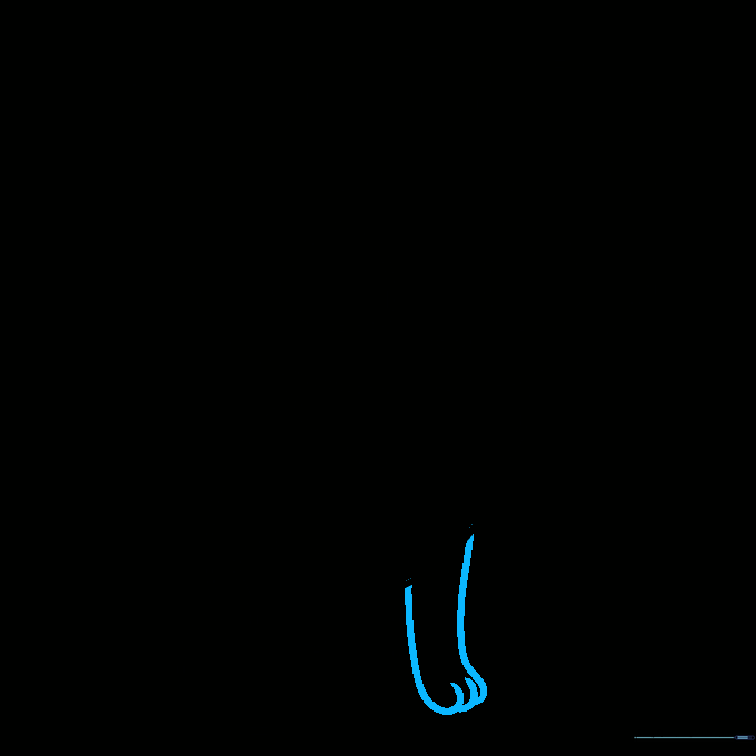 Completing the outline of the cat's legs and connecting them to the torso.