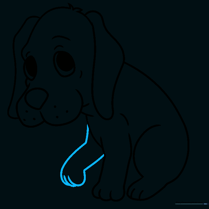 Adding the second front paw to the puppy's body.