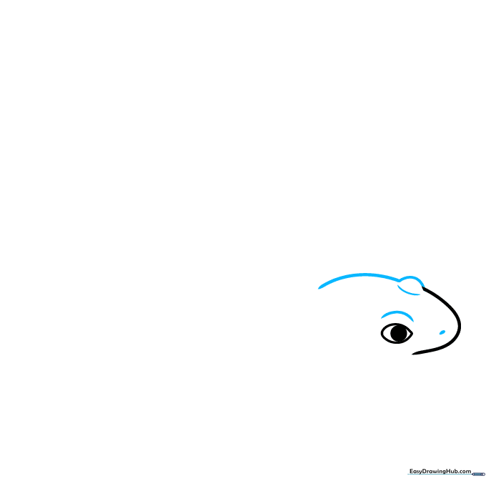 Close-up drawing of a salamander face adding a nostril oval and a curved brow line above the eye.