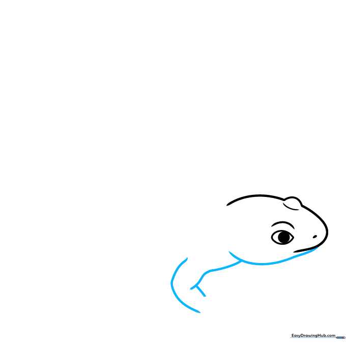 Drawing the lower jawline and a Y-shaped guide for the front leg of the salamander.