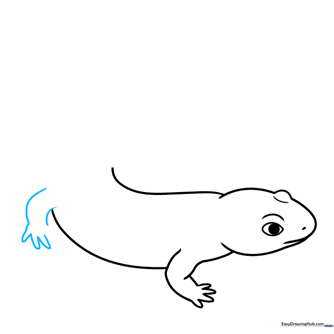 Adding the rear leg and foot with rounded toes to the salamander's body outline.