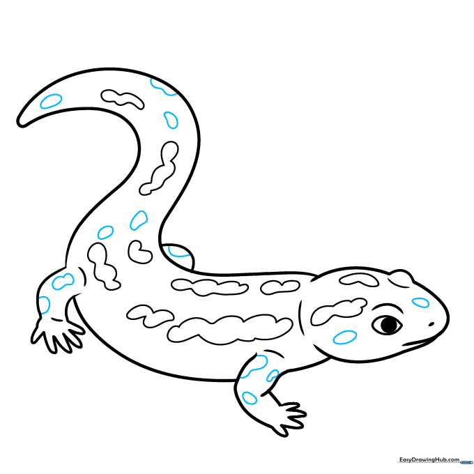Adding final small spots to the face and legs to complete the salamander's detailed look.