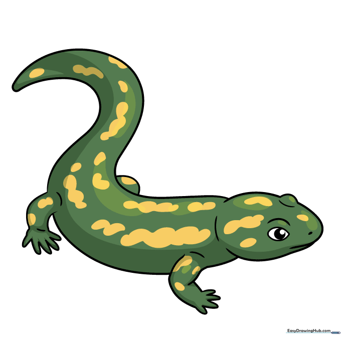 A fully colored, friendly cartoon salamander with green skin and bright yellow spots.