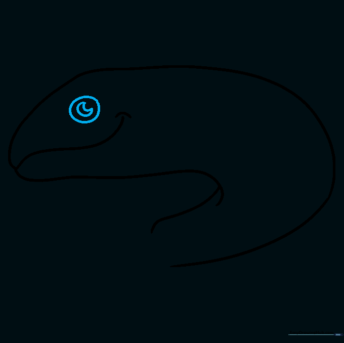 Detail view of the salmon's eye with a circular outline and a C-shaped pupil.