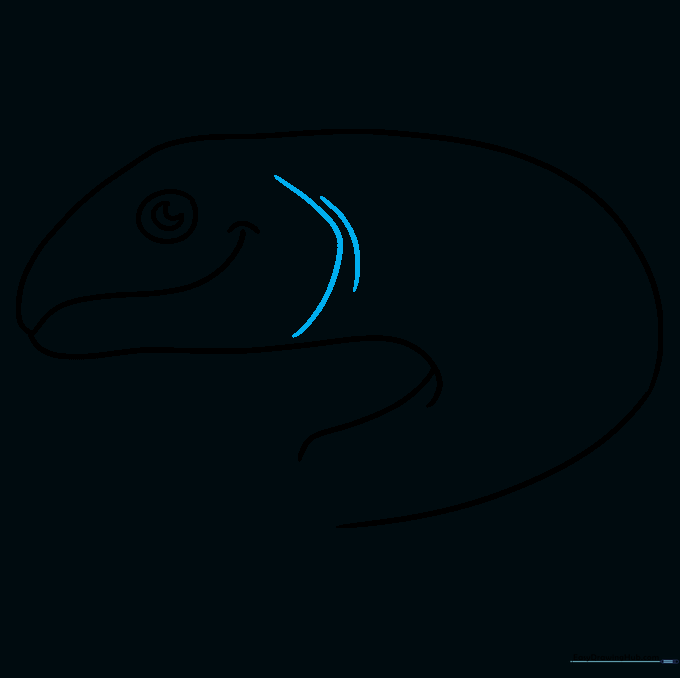 Drawing the gill slits on the side of the salmon's head using simple curved lines.