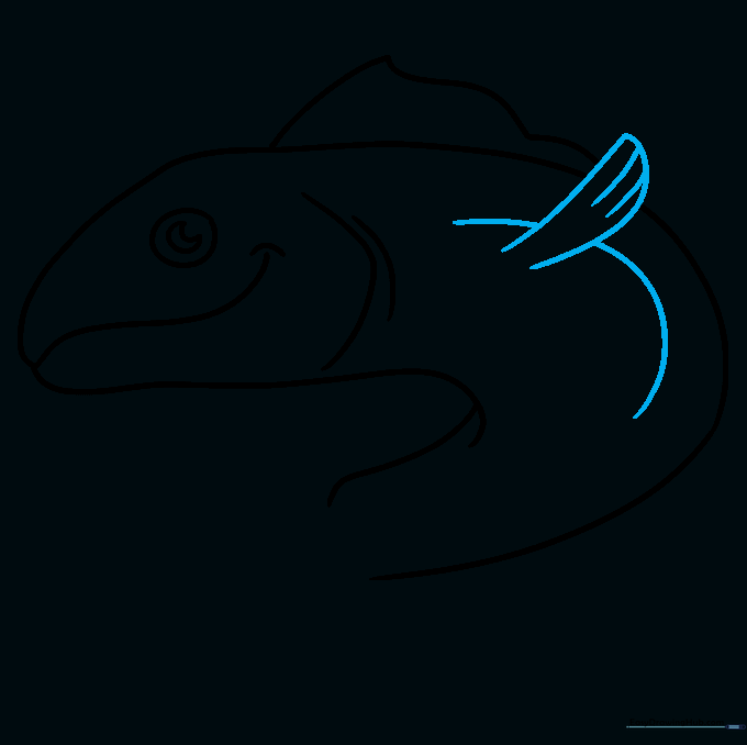 Drawing the pectoral fin on the side of the fish with added texture lines.
