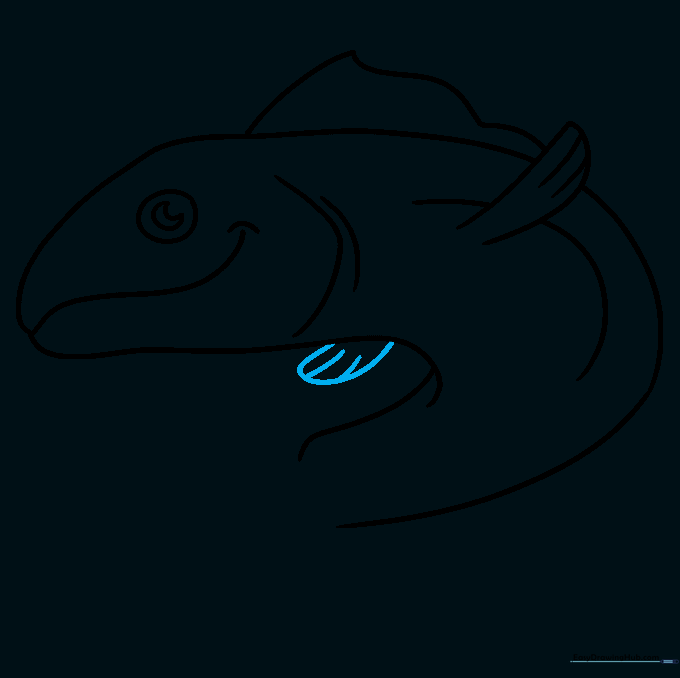 Adding the second pectoral fin on the far side of the fish body.