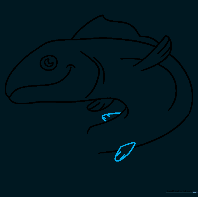 Adding the smaller anal and adipose fins to the bottom and top of the tail section.