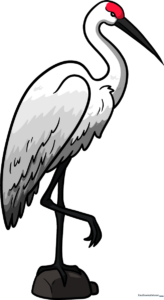 A completed, colorful Sandhill Crane standing on a rock, showcasing the final result of the tutorial.