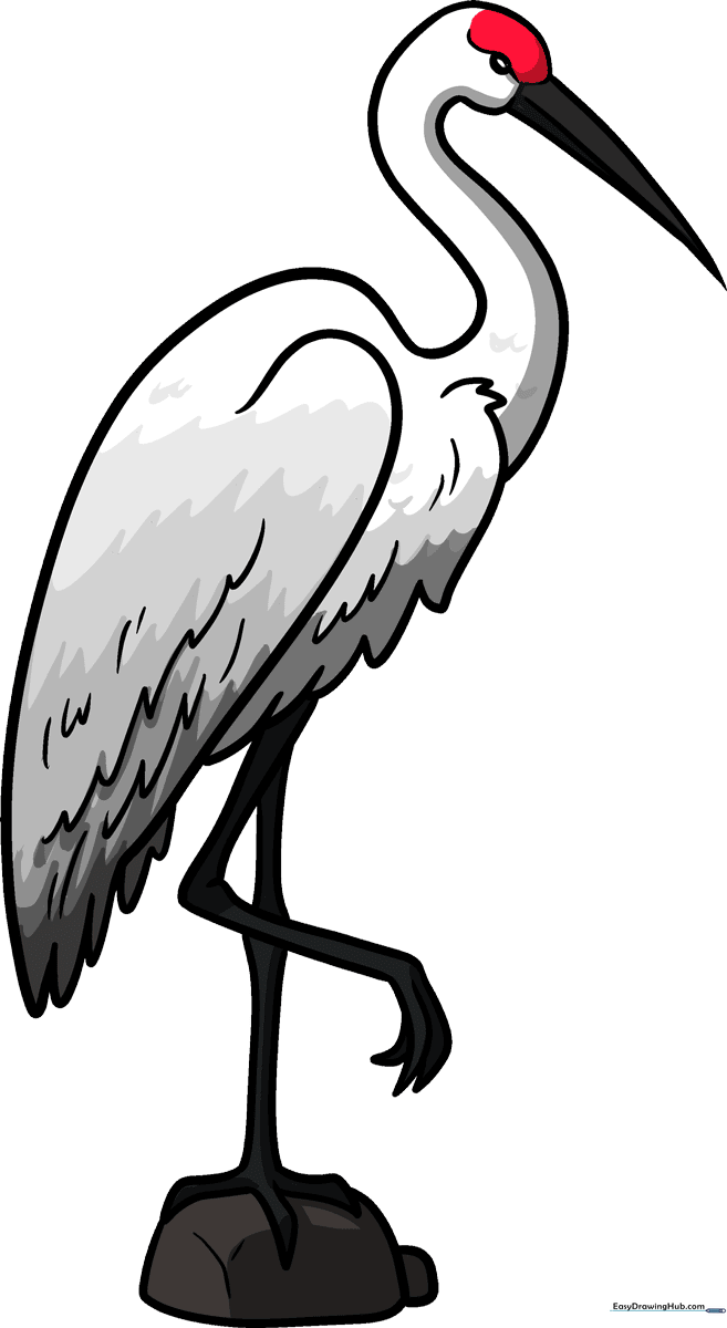 A completed, colorful Sandhill Crane standing on a rock, showcasing the final result of the tutorial.