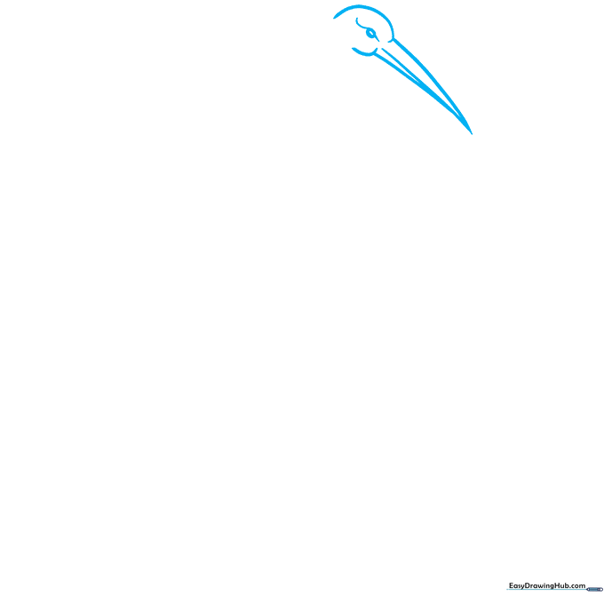 Close-up sketch of a Sandhill Crane head showing the eye and pointed beak structure.