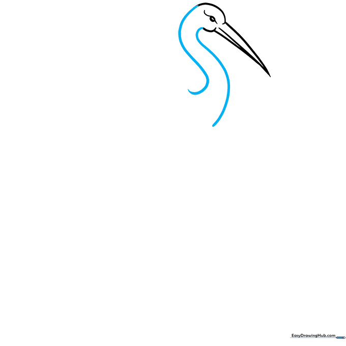 Sketch showing the long, elegant S-curve of the crane's neck extending from the head.