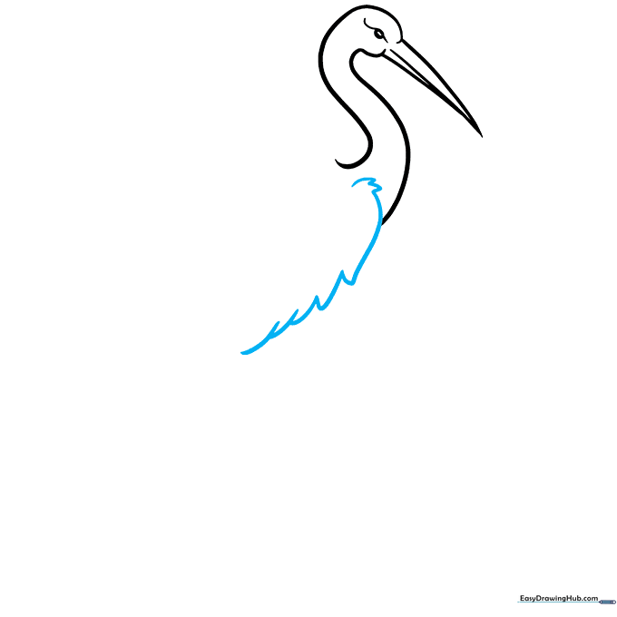 Drawing the chest area of the crane using short, overlapping curved lines to represent feathers.