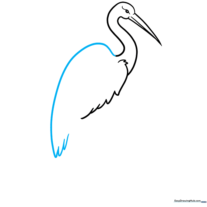 Sketching the arched back and the fan-like tail feathers of the crane.