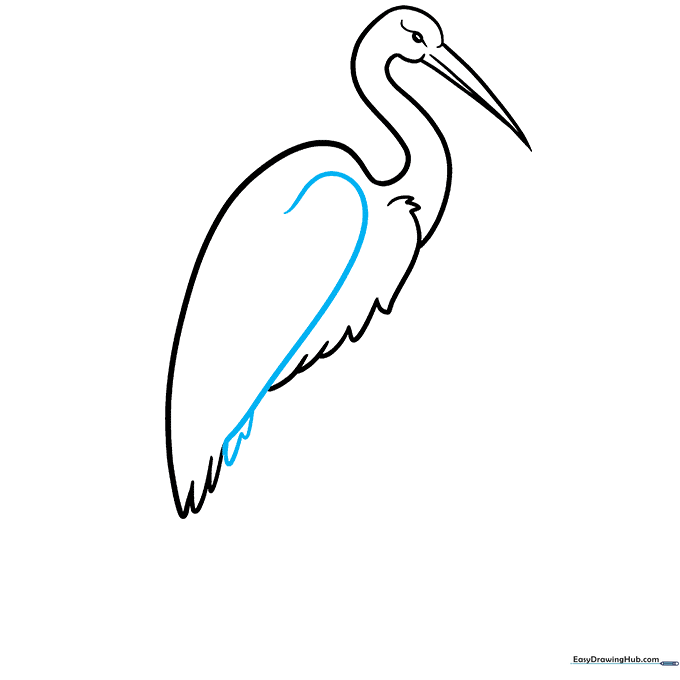 Adding the wing structure using a long J-shaped line and additional feather details.