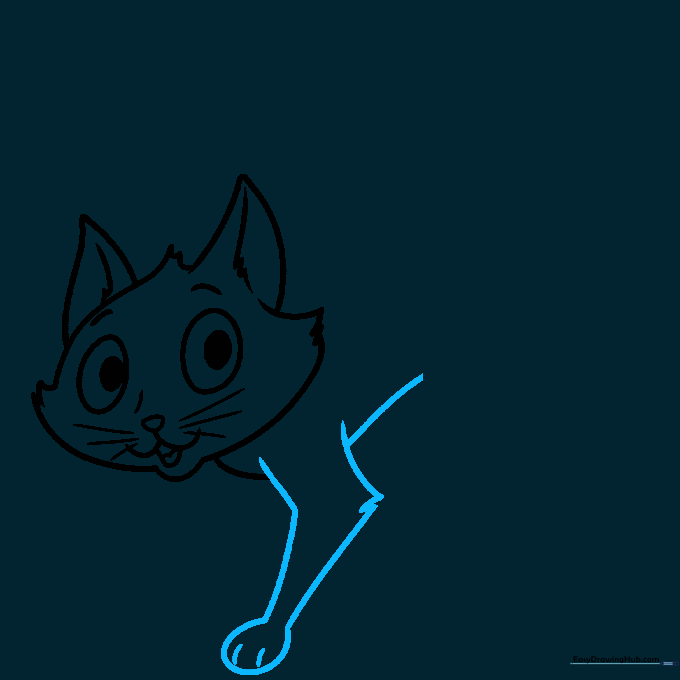 Drawing the front legs of the cat with paw details and toe marks.