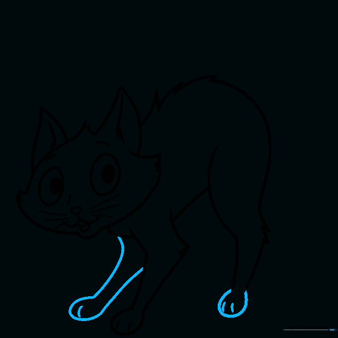 Drawing the back legs and paws of the cat.