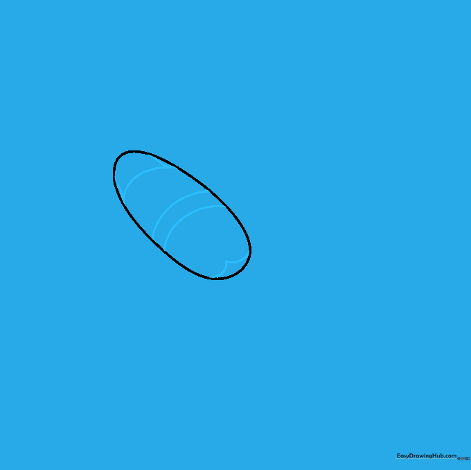 The oval body divided into segments with curved lines to show the exoskeleton.