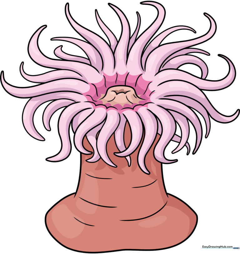 A colorful, finished sea anemone drawing, showcasing the final result of the tutorial.