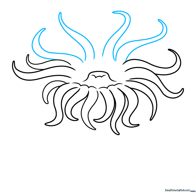 Adding final top-layer tentacles to the sea anemone.