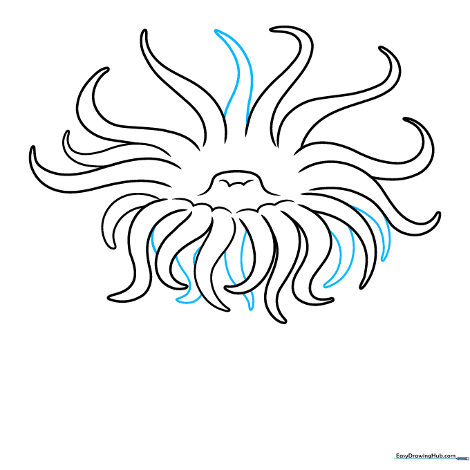 Adding depth to the sea anemone by drawing overlapping tentacles.