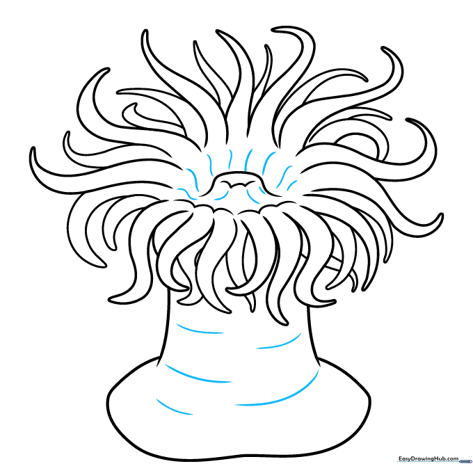 Adding final texture lines to the body and mouth of the sea anemone.