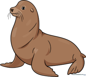 A friendly cartoon sea lion, the final result of the drawing tutorial.