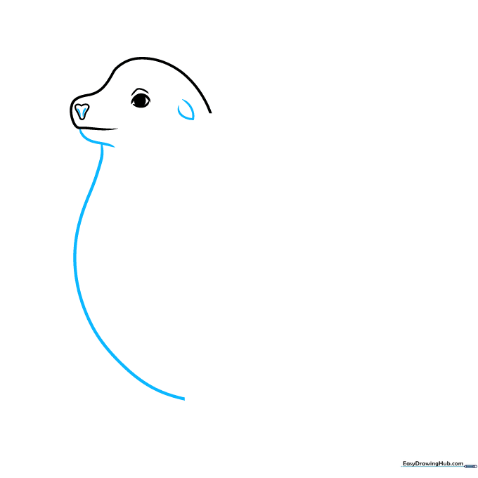 Adding the jawline, chest, and a small ear to the sea lion sketch.
