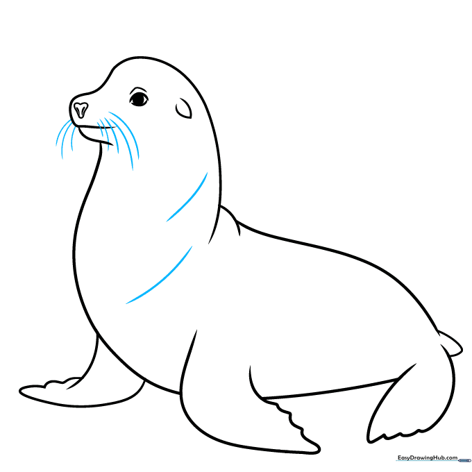 Adding neck contours and whiskers to the sea lion's face.